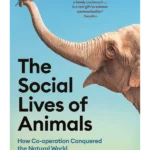 The Social Lives of Animals