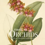 RHS Orchids - ACC Art Books