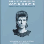 The Little Guide to David Bowie