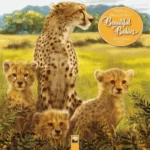 Patricia MacCarthy's Beautiful Babies Wall Calendar 2025 (Art Calendar)
