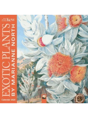 Kew Gardens: Exotic Plants by Marianne North Wall Calendar 2025 (Art Calendar)