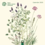 Royal Botanic Garden Edinburgh Wall Calendar 2025 (Art Calendar)