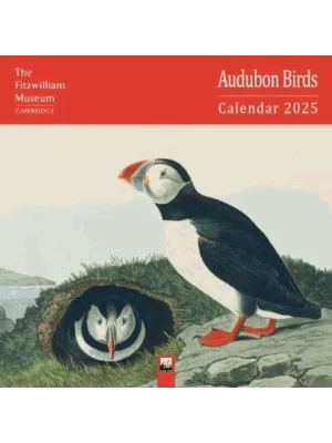 Fitzwilliam Museum: Audubon Birds Wall Calendar 2025 (Art Calendar)