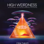 High Weirdness: Drugs, Esoterica, and Visionary Experience in the Seventies