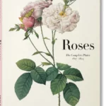 Redouté - Roses