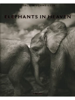 Elephants in Heaven