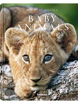 Baby Animals