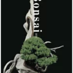Bonsai, Reprint Edition