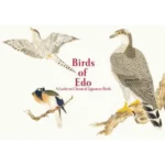 Birds of Edo