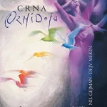 DW CRNA ORHIDEJA - DARKWOOD