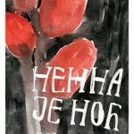 Nežna je noć