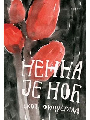 Nežna je noć