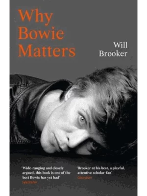 Why Bowie Matters