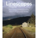 Linescapes