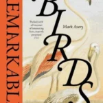 Remarkable Birds