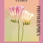 Flora Photographica