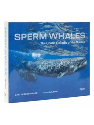 Sperm Whales