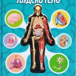 Hajde da zavirimo u: Ljudsko telo