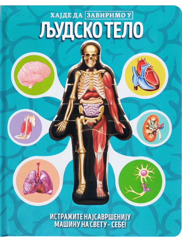 9788610053012 Hajde da zavirimo u: Ljudsko telo - Slika 1