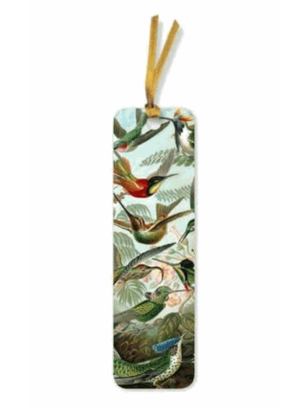 9781804175484 Ernst Haeckel: Hummingbirds Bookmark - Slika 1