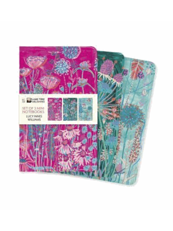9781804176436 Lucy Innes Williams Set of 3 Mini Notebooks - Slika 1