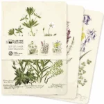 Royal Botanic Garden Edinburgh Set of 3 Midi Notebooks