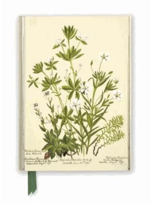 RBGE: Charlotte Cowan Pearson: Stitchworts, Woodruff and Pepperwort (Foiled Journal)