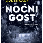 Noćni gost