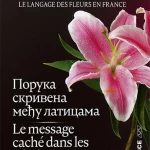 Poruka skrivena među laticama,