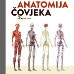 ANATOMIJA ČOVJEKA 3 izdanje