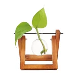 Vaza Hydro Fleur