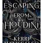 Escaping From Houdini