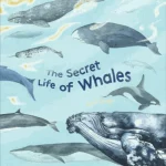 The Secret Life of Whales