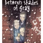 Between Shades of Gray