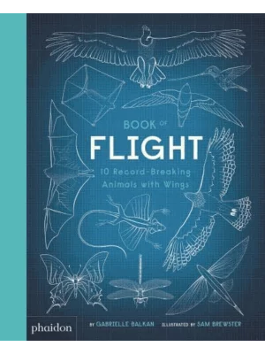 Book of Flight