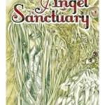 Angel Sanctuary, Vol. 13