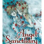 Angel Sanctuary, Vol. 20
