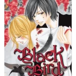 Black Bird, Vol. 1