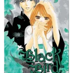 Black Bird, Vol. 7