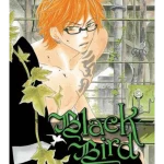Black Bird, Vol. 12