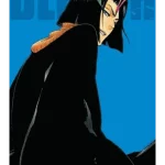 Bleach (3-in-1 Edition), Vol.13