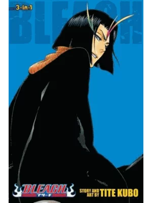 Bleach (3-in-1 Edition), Vol.13