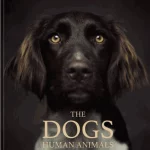 The Dogs
