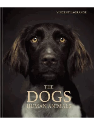 The Dogs