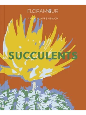 Succulents - Floramour