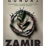 Zamir