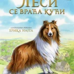 Lesi se vraća kući slikovnica - Pčelica