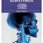 Anatomija glave i vrata
