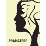Pramatere