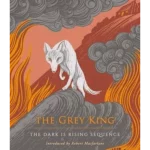 The Grey King - The Dark Is Rising Sequence